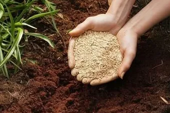 骨粉为植物生长与农业可持续性赋能