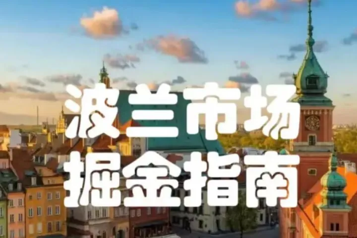 亞馬遜突查！波蘭&捷克VAT不合規(guī)將直接限銷售