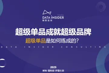 解数咨询2025年超级单品成就超级品牌报告-鸭鸭羽绒服
