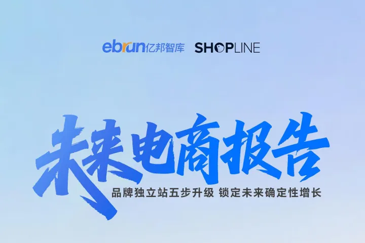 <em>未</em>来电商报告品牌独立站五步升级锁定未来确定性增长