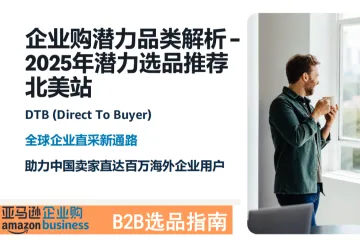 企业购潜力品类解析-2025年潜力选品推荐-北美站（62页）