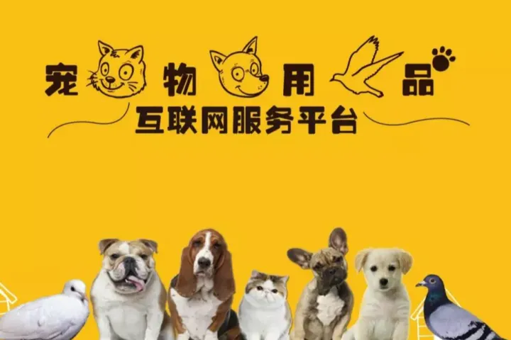 【宠物行业创业】金典宠物——宠物用品服务平台