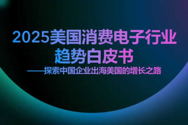 派安盈:2025美国消费电子行业趋势白皮书探索中国企业出海美国的增长之路