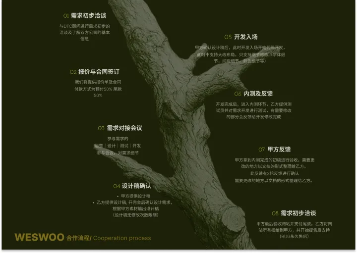 Shopify独立站设计开发|主题前端开发|UI设计|Shopify Plus B2B全栈扶持