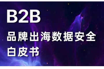 径硕科技：2025B2B品牌出海数据安全白皮书