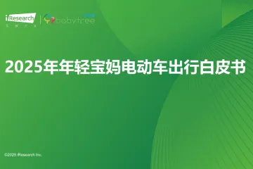 2025年年轻宝妈电动车出行白皮书