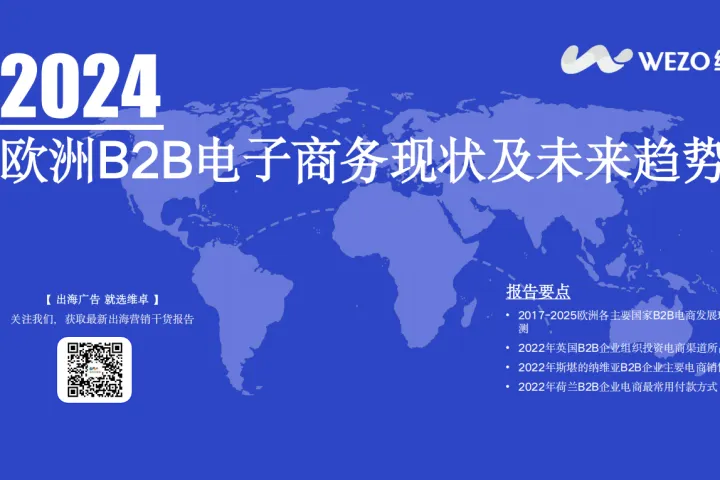 维<em>卓</em>：2024欧洲B2B电子商务现状及未来趋势报告