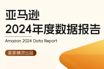 卖家精灵：亚马逊2024年度数据报告