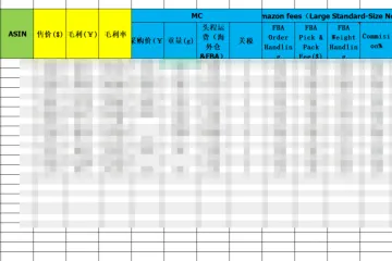 产品开发表格