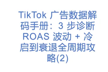 TikTok 广告数据解码手册：3 步诊断 ROAS 波动 + 冷启到衰退全周期攻略(2)