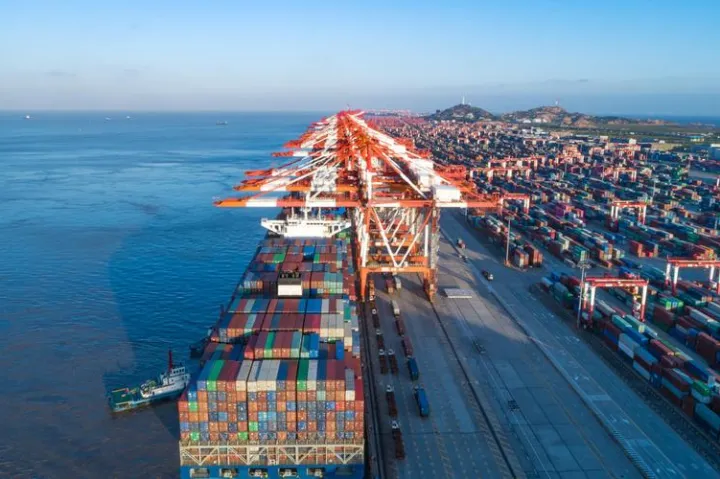 情人节在即，专线企业的机遇、挑战与海运系统解决方案