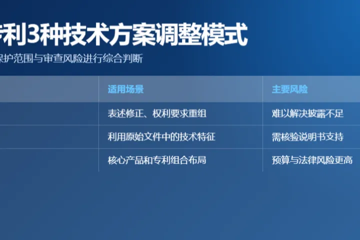 美国专利不同技术方案调整模式预算风险权衡