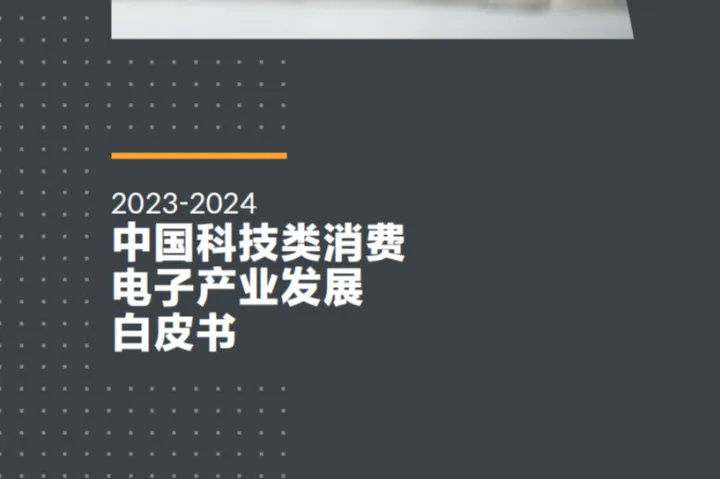 GfK：2023-2024中国科技类消费电子产业发展白皮书