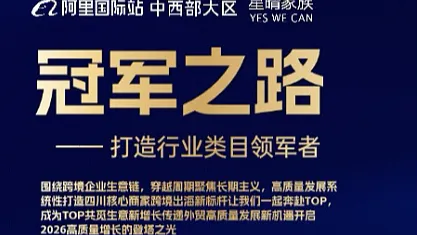 冠军之路——打造行业类目领军者