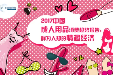 京东研究院：2017中国成人用品消费趋势报告-鲜为人知的情趣经济
