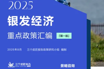 三个皮匠报告：2025银发经济重点政策汇编第一版