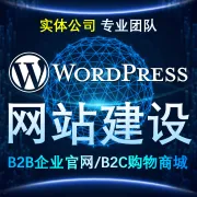 极光出海-外贸独立站｜WordPress建站+谷歌SEO