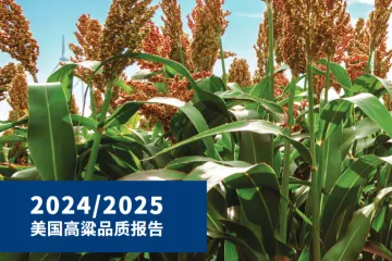美国谷物协会北京办事处2024-2025美国高粱品质报告18页