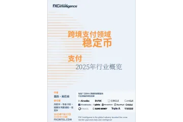 2025跨境支付中的稳定币状况研究报告