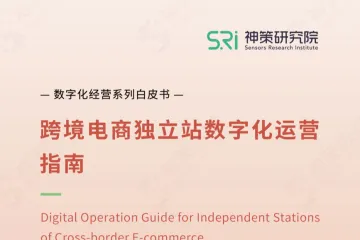 神策研究院:跨境电商独立站数字化运营指南2022