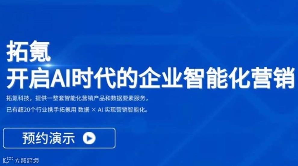 AI智能营销-deepseek优化服务