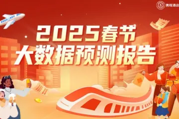 2025春节大数据报告