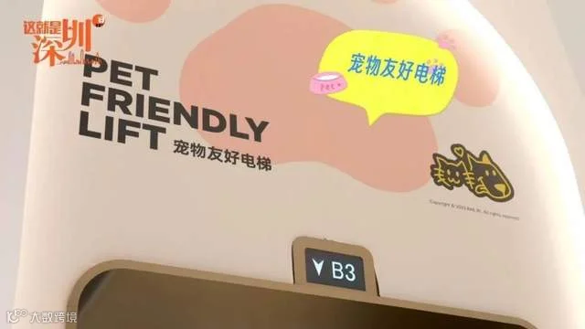 狗狗,正在走进商场