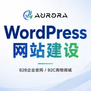 外贸独立站建设｜WordPress建站·谷歌SEO优化-极光出海