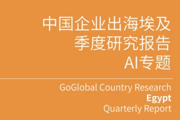 亿欧：中国企业出海埃及季度研究报告-AI专题
