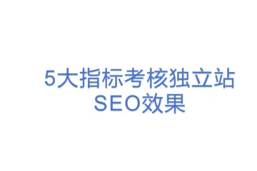 5大指标考核独立站SEO效果