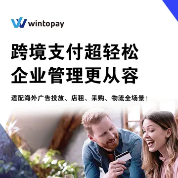 WinProCard 数字卡【全球付款】