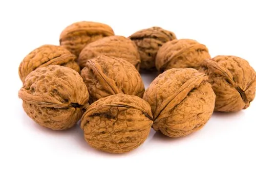 鲜核桃出口：优质供应商对接技巧