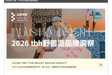 2026年tbh野兽派品牌策略洞察报告