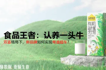 解数咨询认养一头牛-双寡格局下新品牌如何实现弯道超车54页