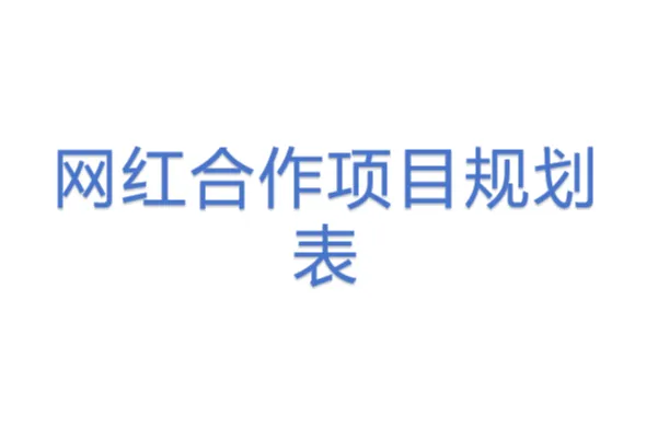 网红合作项目规划表