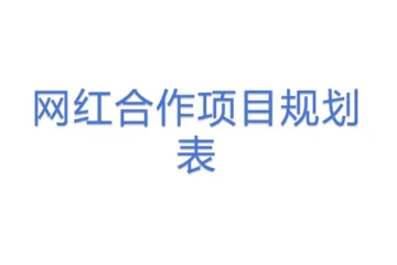 网红合作项目规划表