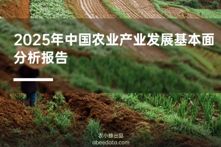 农小蜂2025年中国农业产业发展基本面分析报告27页