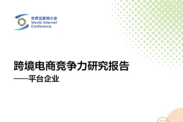 世界互联网大会：2024跨境电商竞争力研究报告-平台企业