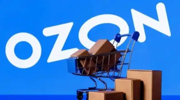 Ozon选品必看：8个核心数据详解，新手卖家如何利用工具找到爆款？