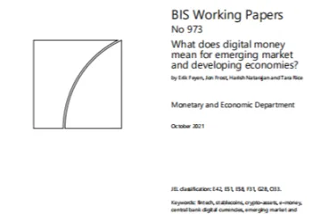 BIS：数字货币对新兴市场和发展中经济体意味着什么英文版