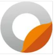 桔子信息科技