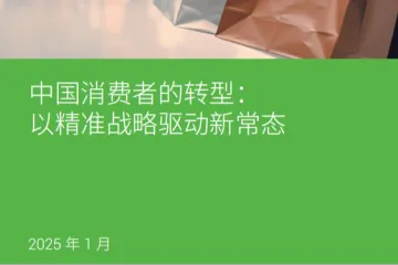 艾睿铂AlixPartners2025中国消费者的转型报告以精准战略驱动新常态17页