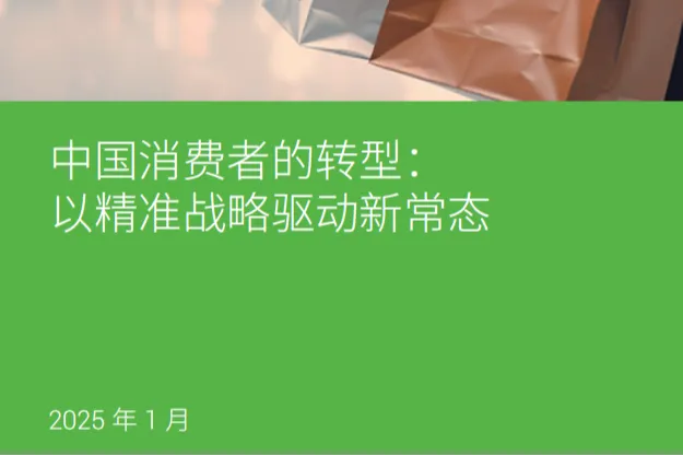 艾睿铂AlixPartners2025中国消费者的转型报告以精准战略驱动新常态17页
