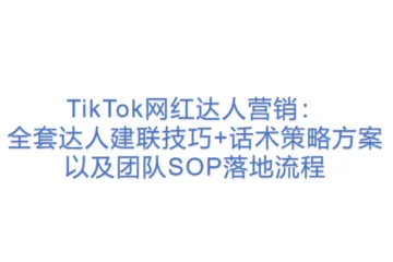 【11TK】TikTok网红达人营销：全套达人建联技巧+话术策略方案以及团队SOP落地流程(2)(1)(1)