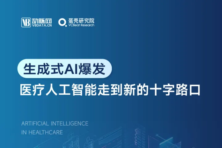 蛋壳研究院：2024年医疗人工智能研究报告-生成式AI爆发医疗人工智能走到新的十字路口