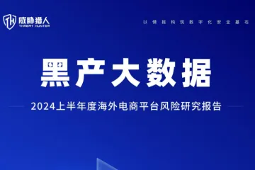 威胁猎人：2024上半年度海外电商平台风险研究报告（33页）