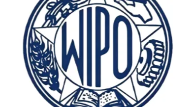国际商标注册三大主流途径完整解析