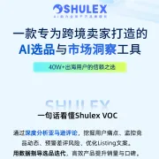 Shulex VOC|AI驱动的选品与市场洞察工具