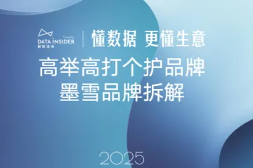 解数咨询2025高举高打洗发水品牌墨雪拆解报告简版18页