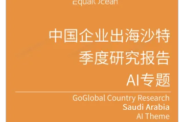 亿欧：中国企业出海沙特季度研究报告-AI专题2025Q2
